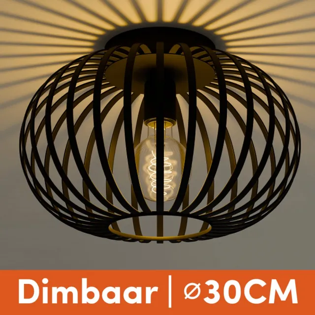 Nolt Plafondlamp Zwart - Plafonniere E27 Lamp - Industrieel - ⌀ 30cm
