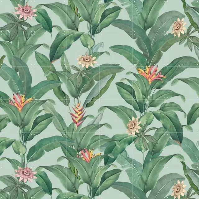 IXXI Tropical Jungle Climbing Leaves and passiflora flowers - mint, Bloomery Decor - 120 x 120 cm - Grote wanddecoratie en posters - Naturalisme Groen