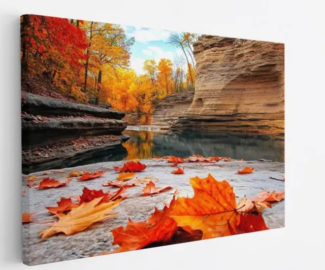 Saammp Canvas Schilderij - Rode Bladeren op steen - Natuur - Landschap - 60x40 - Foto op canvas - Wanddecoratie - Muurdecoratie Woonkamer - Slaapkamer decoratie - Canvas Print Multicolor
