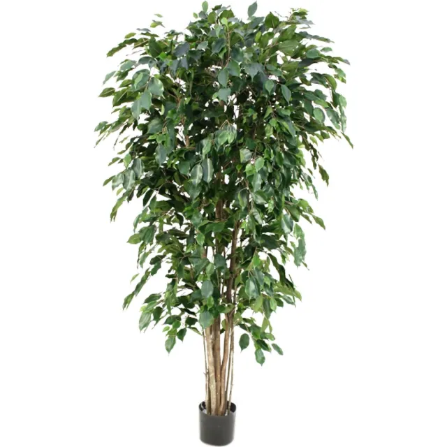 Maxifleur Ficus Exotica deluxe kunstplant 180cm - groen - FR - brandvertragend