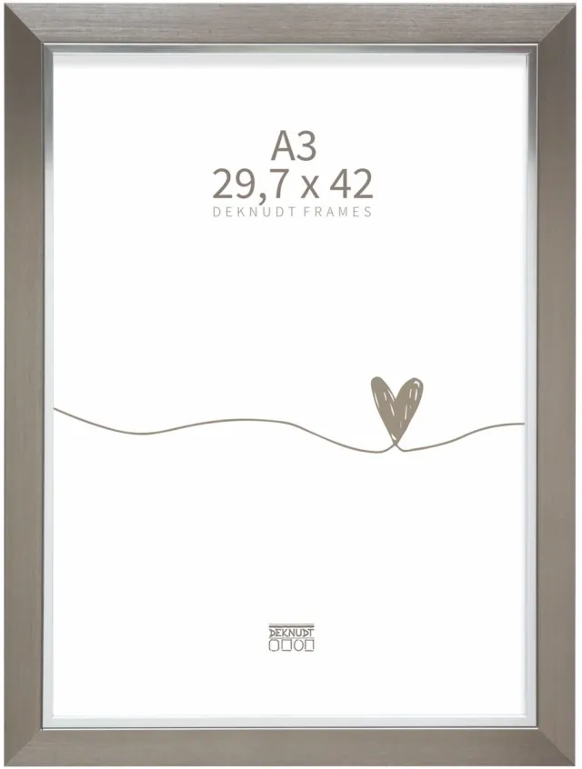 Deknudt Frames fotolijst S45VD1 - zilver met zilverbies - A3 - 29,7x42