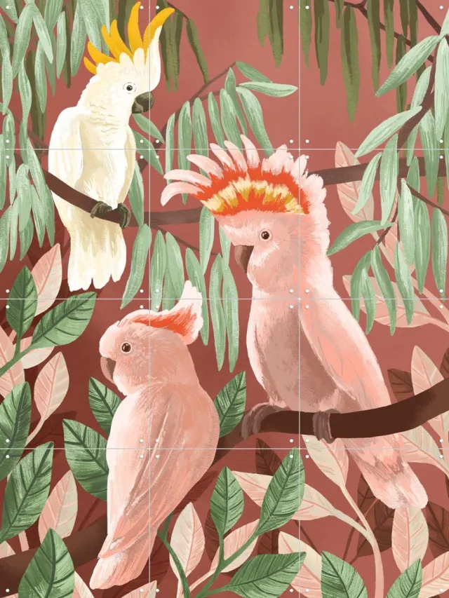 IXXI Cockatoos, Goed Blauw - 60 x 80 cm - Grote wanddecoratie en posters - Speels, Illustraties, Woonkamer, Vogels, Tropisch, Natuur, Botanisch Roze / Warme kleuren