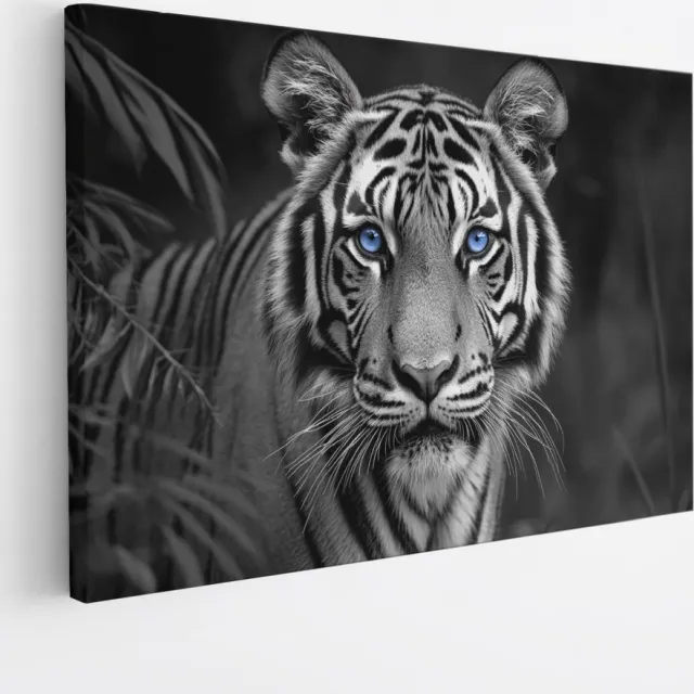 Saammp Canvas Schilderij - Jonge tijger met blauwe ogen - Natuur - Dieren - 100x75 - Foto op canvas - Wanddecoratie - muurdecoratie Woonkamer - Slaapkamer decoratie - Canvas Print Multicolor