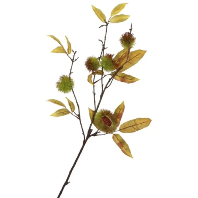 DK design Daan Kromhoud - Kunsttak - Kastanje - Chestnut - 97cm Groen;Bruin;Geel