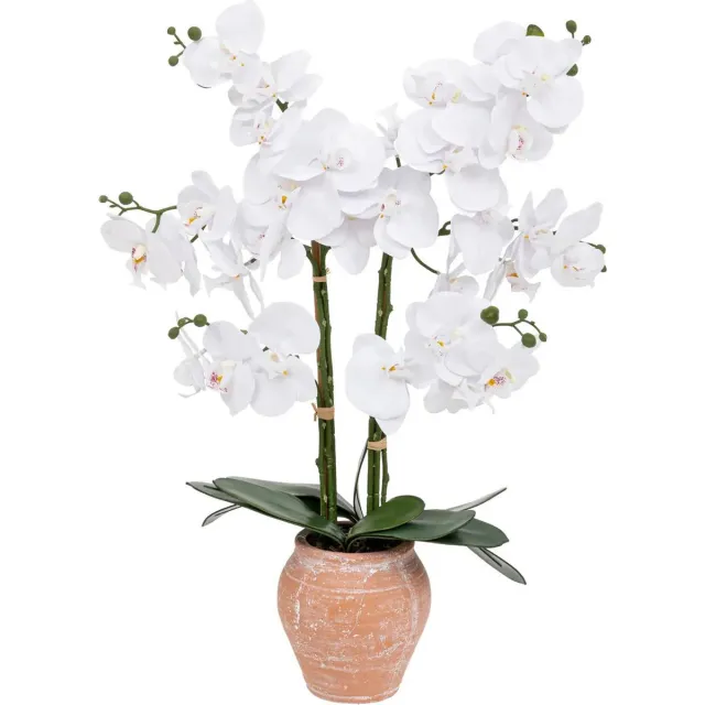 Atmosphera Orchidee bloemen kunstplant in sierlijke terracotta bloempot - witte bloemen - H65 cm