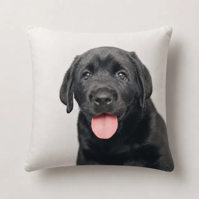 Unique Living 3 stuks - kussenhoes - sierkussenhoes - wit - zwart - 45 x 45 cm - rits - fluweel - hond - Labrador pup
