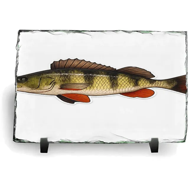 Mr Cadeautjes Leisteen rechthoek 14 x 19,5 - design Grafische salamander op rotsrand | cadeau Wit