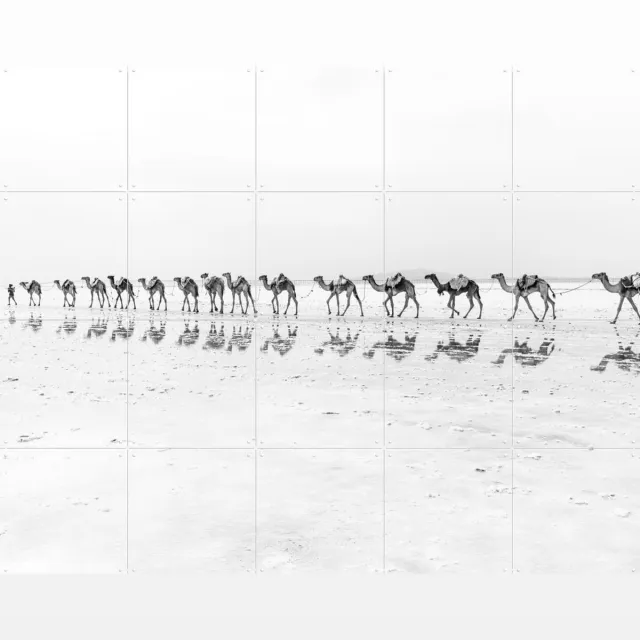 IXXI Salt Transport with Camels, Photolovers - 100 x 80 cm - Grote wanddecoratie en posters - Minimalisme, Fotografie, Woonkamer, Slaapkamer, Natuur Zwart en wit / Monochroom / Wit / Lichte tinten