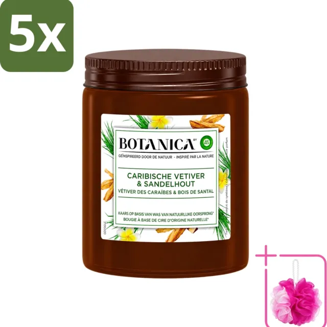 Air Wick 5 x Botanica by Air Wick - Geurkaars - Vetiver & Sandelhout - 40 Uur Brandduur - Bulkverpakking - Geurkaars vetiver sandelhout - Douchemop - Vetiver geur Bruin