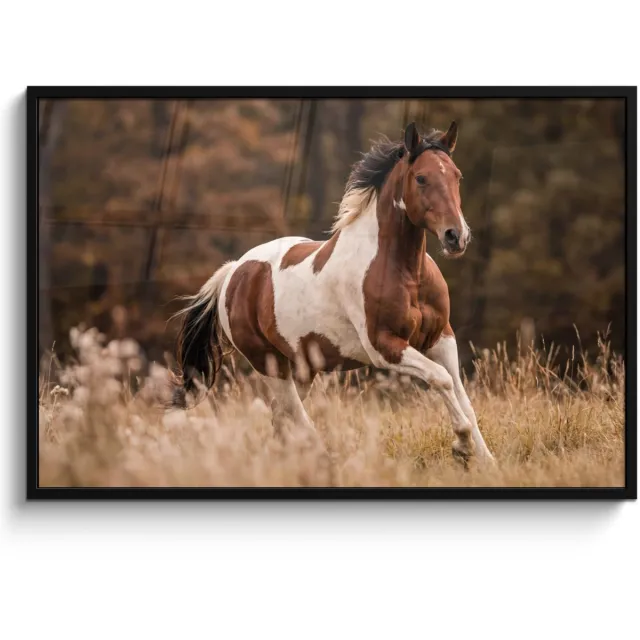FrameYourWall Poster in lijst - Fotolijst 120x80 cm - Posters - Paard - Bruin - Gras - Posterlijst zwart - Decoratie - Wanddecoratie woonkamer - Muurdecoratie slaapkamer
