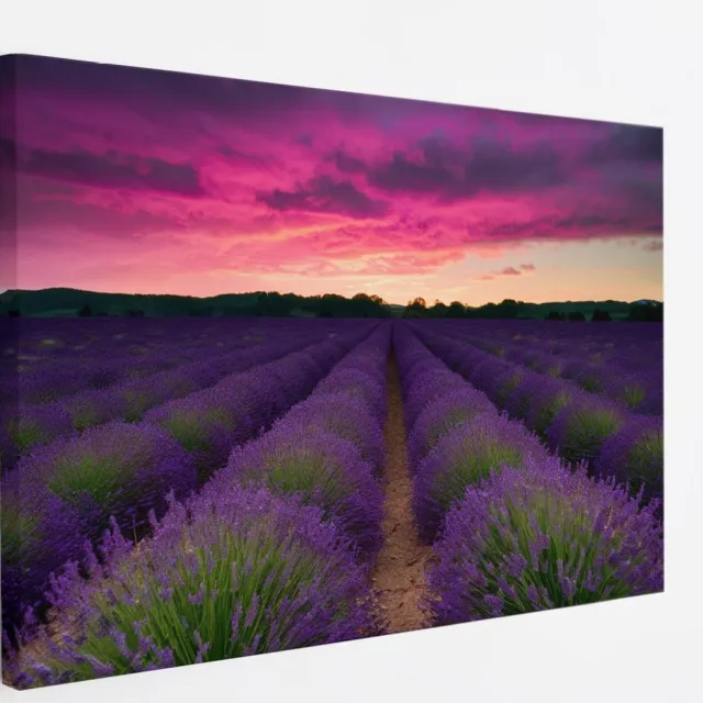 Saammp Canvas Schilderij - Lavendel met paarse lucht - Landschap - Natuur - 45x30 - Foto op canvas - Wanddecoratie - Muurdecoratie Woonkamer - Slaapkamer decoratie - Canvas Print