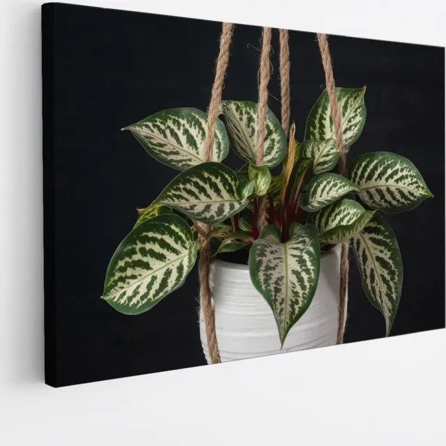 Saammp Canvas Schilderij - Hangplant - Natuur - Abstract - 120x80 - Foto op canvas - Wanddecoratie - Muurdecoratie Woonkamer - Kantoor Decoratie Multicolor