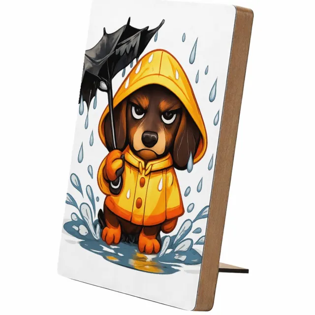 Mr Cadeautjes Glasframe/MDF 12,7 x 17,8 - design Een chagrijnige teckel in een regenjas met een kapot ogende | cadeau Wit