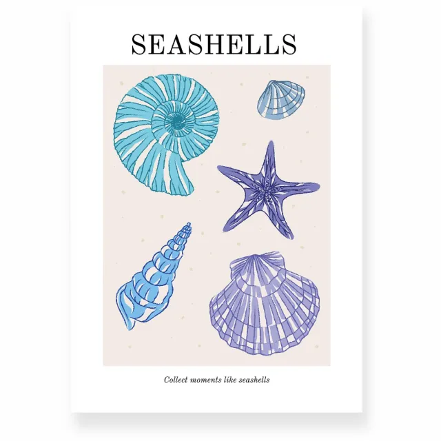 Yisual Poster 30x40 cm - Seashells - Strand - Blauw - Paars - Minimalistisch - Boho - Muurdecoratie - Wanddecoratie