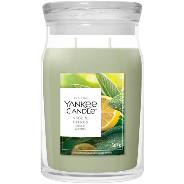Yankee Candle Sage & Citrus Large Jar Geurkaars - 90 branduren - twee lonten Groen