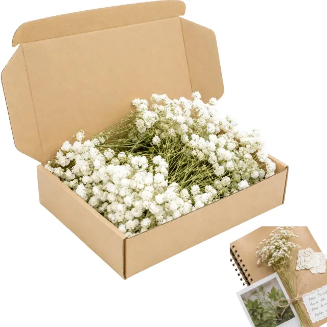 Famanu Witte gedroogde gipskruid bloemen set van 120 stuks voor sieraden en decoraties
