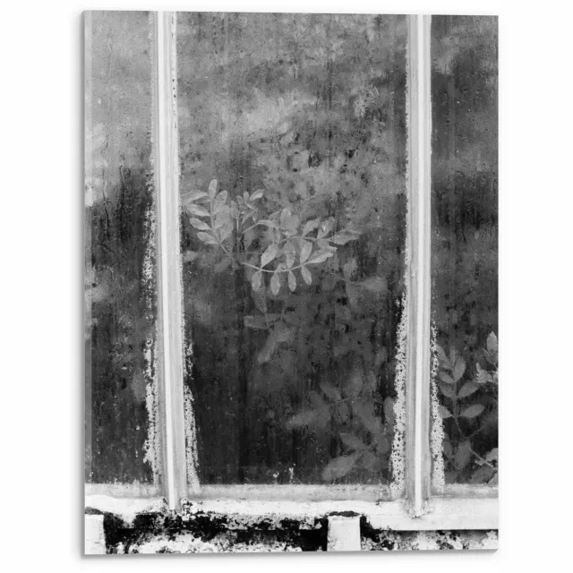 KuijsFotoprint Acrylglas - Raam met Planten erachter in Zwart Wit - 30x40cm Foto op Acrylglas (Wanddecoratie op Acrylglas)