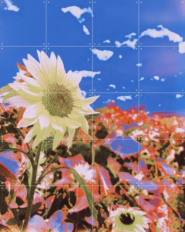 IXXI In the Breeze, Amber Lauder - 80 x 100 cm - Grote wanddecoratie en posters - Gemengde Technieken, Woonkamer, Gang, Trap, Zonnebloemen Blauw