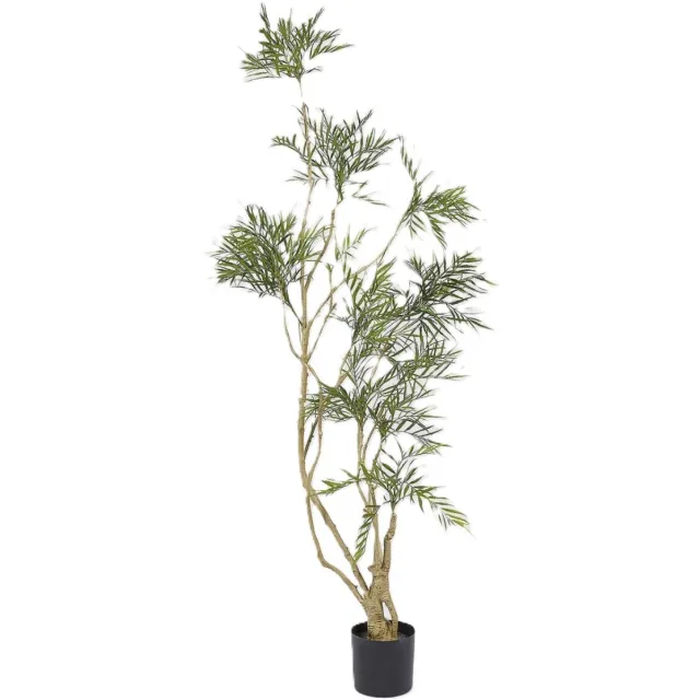 EDG - Enzo De Gasperi EDG - Kunstplant - groen - D25 x H180 cm