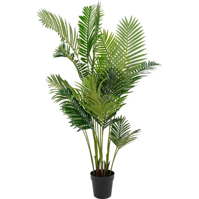 House Nordic Arecapalm Kunstplant H175 cm Groen
