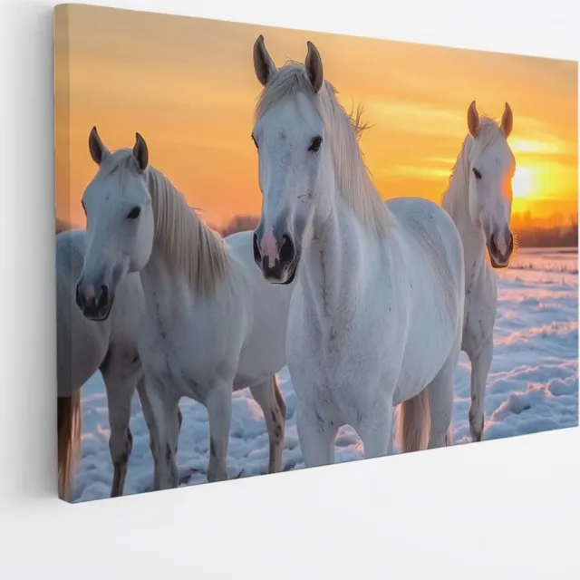 Saammp Canvas Schilderij - paarden in de sneeuw - Dieren - Natuur - 60x40 - Foto op canvas - Wanddecoratie - muurdecoratie Woonkamer - Slaapkamer decoratie - Canvas Print Multicolor