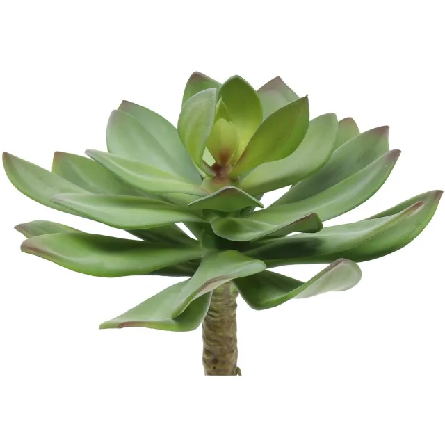 Viana Kunst vetplant groen 27cm groente