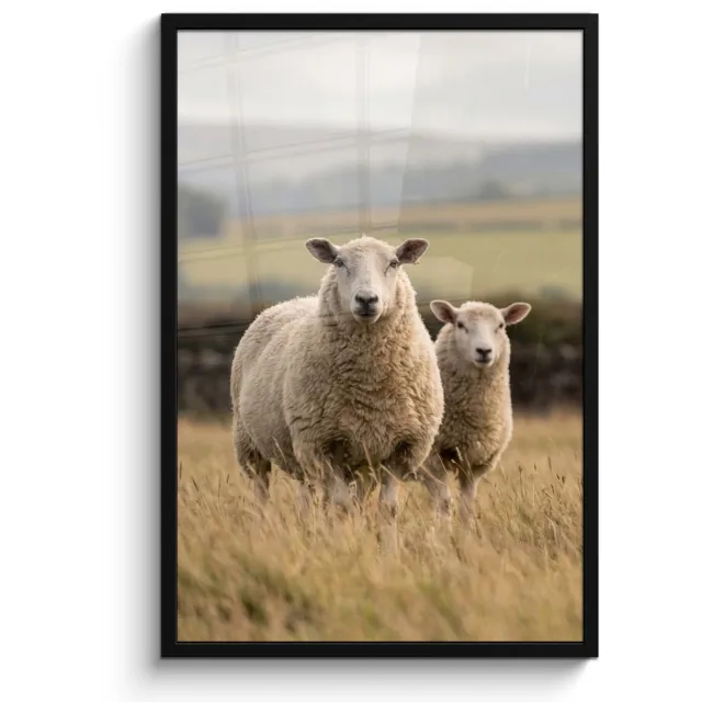 FrameYourWall Poster in lijst - Fotolijst 60x90 cm - Posters - Schapen - Weidenlandschap - Heuvels - Posterlijst zwart - Decoratie - Wanddecoratie woonkamer - Muurdecoratie slaapkamer