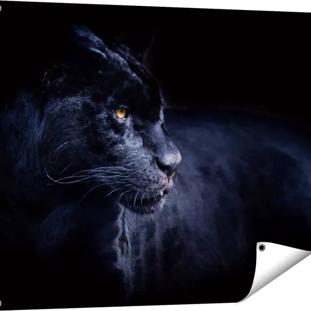 Gards Tuinposter Zwarte Panter - 100x80 cm - Tuindoek - Tuindecoratie - Wanddecoratie buiten - Tuinschilderij Multikleur
