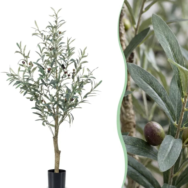 Green Boutiq Kunst Olijfboom - Olea Europaea - Olijfboom - 115 cm