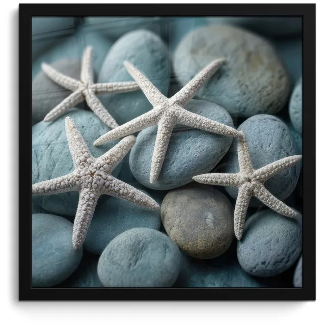 FrameYourWall Poster in lijst - Fotolijst 40x40 cm - Posters - Zeesterren - Stenen - Wit - Posterlijst zwart - Decoratie - Wanddecoratie woonkamer - Muurdecoratie slaapkamer