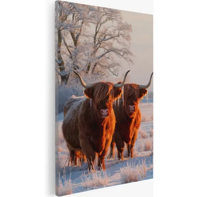 Saammp Canvas Schilderij - Schotse hooglander koeien met bevroren hoorns - Dieren - 40x50 - Foto op canvas - Wanddecoratie - Muurdecoratie Woonkamer - Slaapkamer decoratie - Canvas Print Multicolor