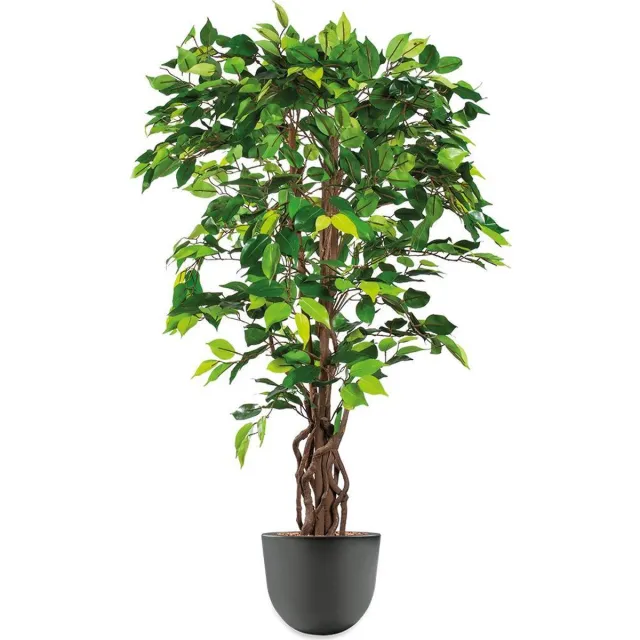 HTT Decorations HTT - Kunstplant Ficus in Eggy antraciet H130 cm