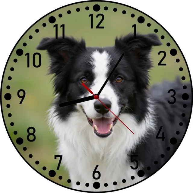 Stukjes Geluk Border Collie klok - Ronde zwandklok - Fotoklok - Klok met hondenfoto - Hondencadeau Groen