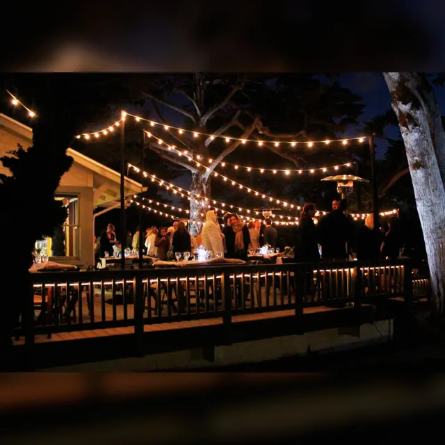 KS Verlichting Patio Lichtsnoer Helder 40m met 48 LED Zwart