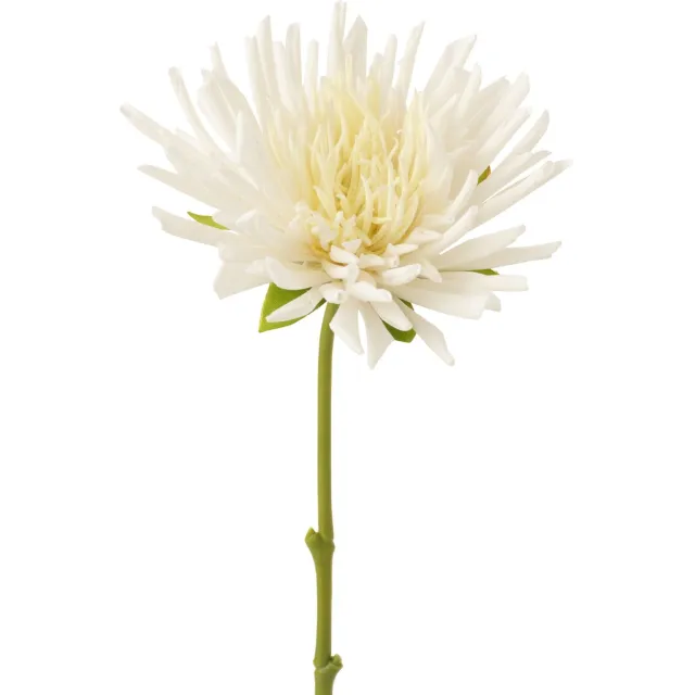 J-Line bloem Chrysant Mini - kunststof - wit - small - 24 stuks