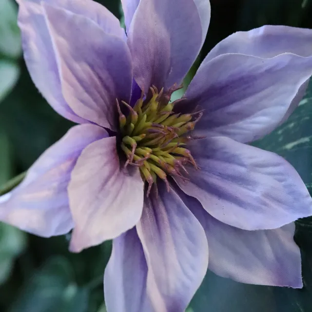 maxifleur Kunstplanten Kunst Clematis Tak 113cm Paars