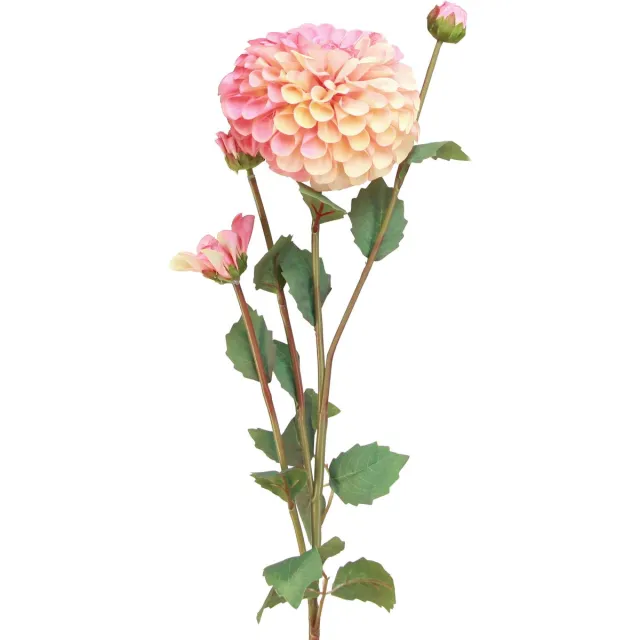 Viana Kunstdahlia's in perzikroze Ø10cm L80cm 2 stuks Oranje