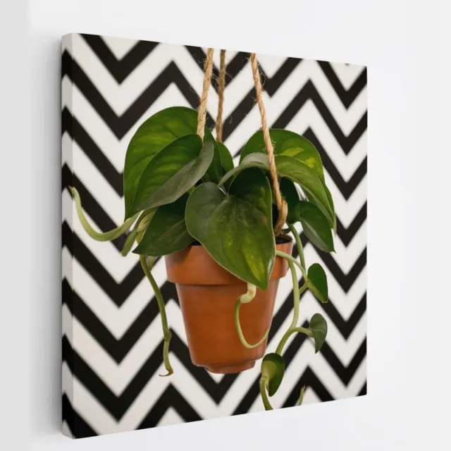 Saammp Canvas Schilderij - Hartvormige Bladplant in Pot - Natuur - Abstract - 30x30 - Foto op canvas - Wanddecoratie - Muurdecoratie Woonkamer - Kantoor Decoratie Multicolor
