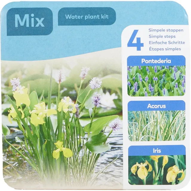 Bloomique Set van 3 Vijverplanten - Kant-en-Klare Set - Droogverpakking - Met Pontederia, Acorus, Iris - Vijverplanten - Waterplanten - Mand 18 cm Groen