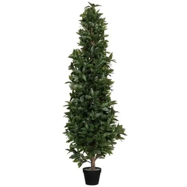 Pottery Pots Kunstplant - Laurus L - L30cm x W30cm x H150cm - Indoor - Green
