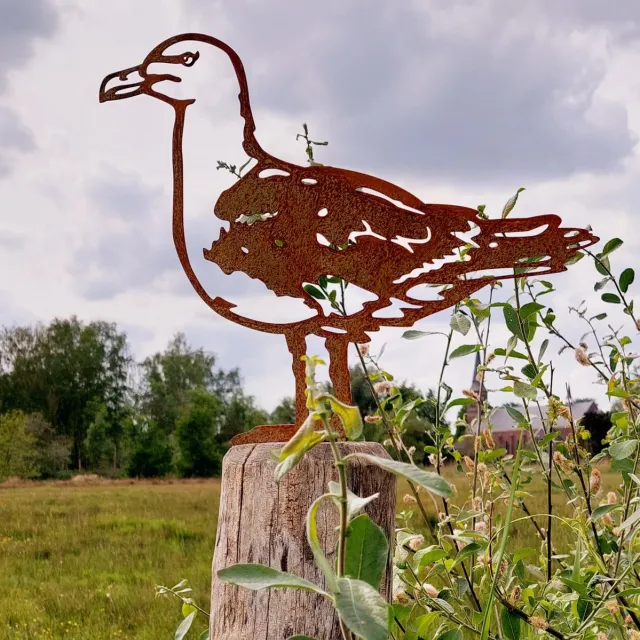 rusty friends Meeuw - metalen vogel - Cortenstaal - NL Fabricaat