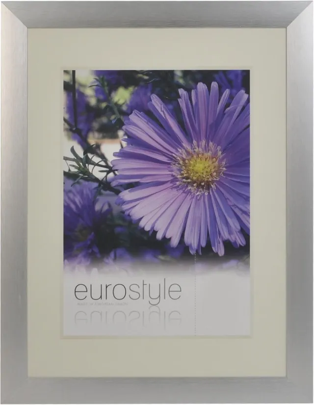 Desq 4903 | Fotolijst Aluminium | Sterk Helder Plexiglas | 30 x 40 cm