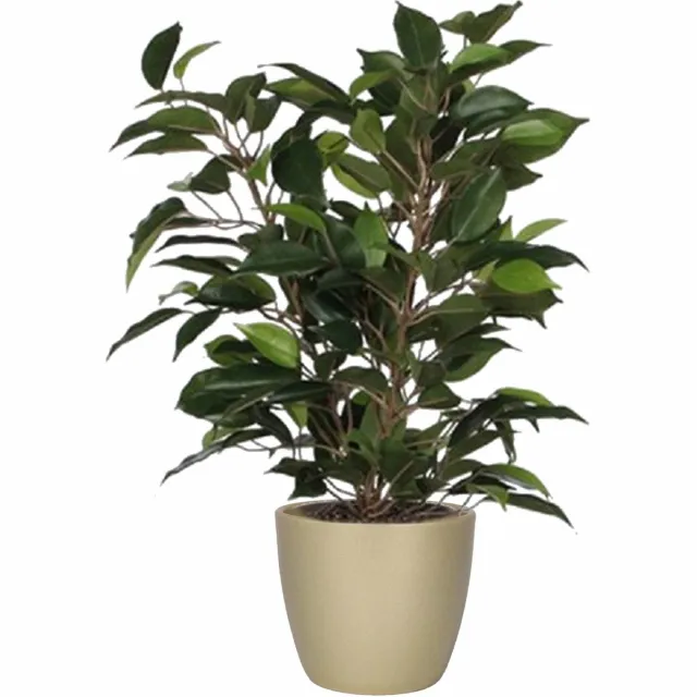 Mica Decorations Ficus kunstplant - groen - 40 cm - met plantenpot - goud - keramiek - D13.5 en H12.5 cm