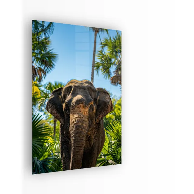 Indoorart Glasschilderij Tropical Elephant 40x60 CM - Afbeelding op plexiglas - Inclusief montagemateriaal blauw, groen, bruin
