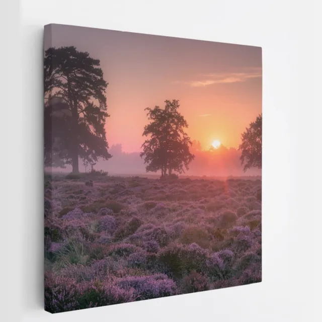 Saammp Canvas Schilderij - Lavendelveld met bomen en zonsondergang - Zonsondergang - Landschap - Natuur - 40x40 - Foto op canvas - Wanddecoratie - Muurdecoratie Woonkamer - Slaapkamer decoratie - Canvas Print Multicolor