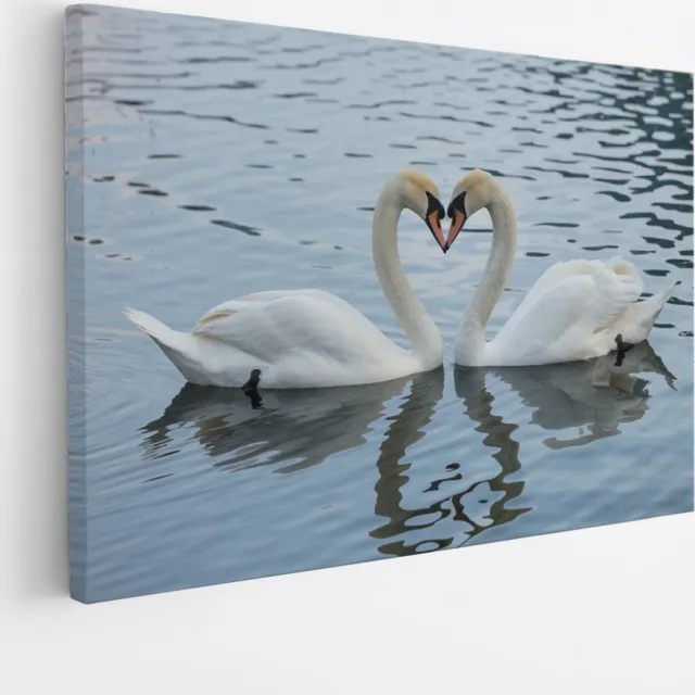 Saammp Canvas Schilderij - 2 Zwanen - Hartvorm - Natuur - Dieren - 120x80 - Foto op canvas - Wanddecoratie - Muurdecoratie Woonkamer - Slaapkamer decoratie - Canvas Print Multicolor