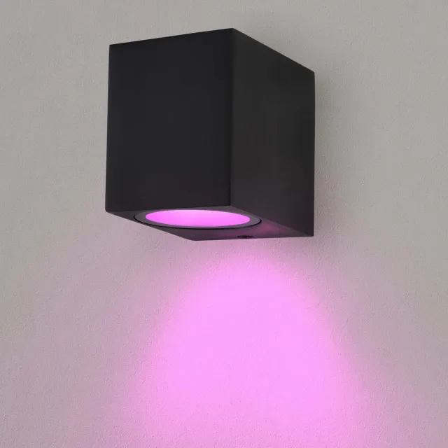 LEDVION SMART LED Wandlamp San Diego - IP54 - Zwart