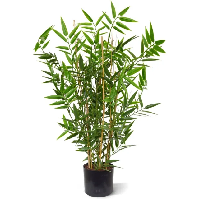 maxifleur Kunstplanten Japanse Bamboe kunstplant 60cm - UV bestendig Groen