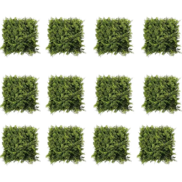 Happiq Kunstgras Wandpanelen - Voor Tuin, Balkon & Binnen - Privacy & Decoratief - Groen Buxus & Tropische Bladeren - Kunstplant - Groen-12pcs