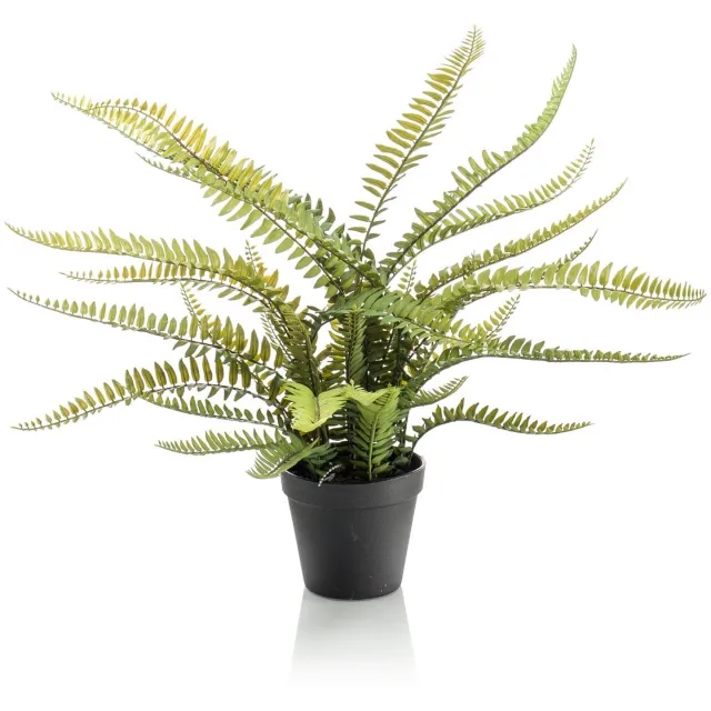 Emerald Kunstplant in pot Varen Boston 55cm - Kunstplant voor binnen Groen